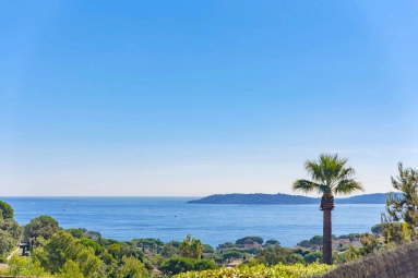 5 Bedroom(s) - 3 Bathroom(s) - 3,200m² land for sale in Var, Provence-Alpes-Côte-d\'Azur, France - FrenchPropertyPortal.com St Raphaël, Ste Maxime Area for sale for 3,390,000€ in Var, Provence-Alpes-Côte-d\'Azur