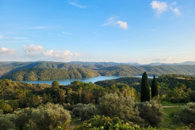 Var Countryside (Fayence, Lorgues, Cotignac) for sale for 1,100,000&euro; in Var, Provence-Alpes-Côte-d\'Azur