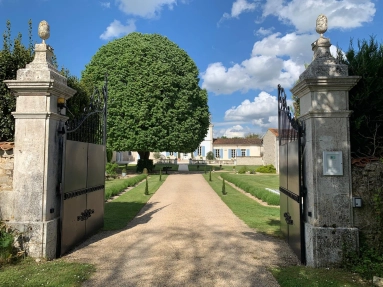 Elégante Maison de Maître avec 5 chambres d'hôtes for sale for 954,000&euro; in Charente-Maritime, Poitou-Charentes