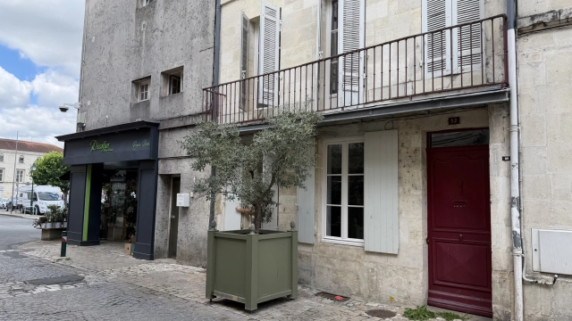 Jolie maison de ville CENTRE VILLE  de St Jean d'Angély for sale for 200,000&euro; in Charente-Maritime, Poitou-Charentes