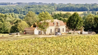 Lalandusse, Lot-et-Garonne, Aquitaine for sale for 435,000&euro; in Lot-et-Garonne, Aquitaine