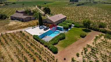 7 Bedroom(s) - 21,040m² land for sale in Aude, Languedoc-Roussillon, France - FrenchPropertyPortal.com Exceptional Estate with Gîtes and Organic Vineyard in the Minervois for sale for 899,000€ in Aude, Languedoc-Roussillon