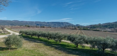 Confidential Sale: 28-hectare Wine Estate with 12 hectares of Vineyards for sale for 3,480,000&euro; in Vaucluse, Provence-Alpes-Côte-d\'Azur