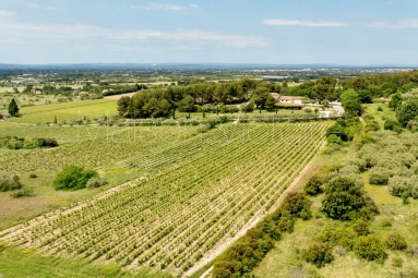 Prestigious organic winery with guest house and swimming pool at the foot of the Mont Ventoux. for sale for 3,900,000&euro; in Vaucluse, Provence-Alpes-Côte-d\'Azur