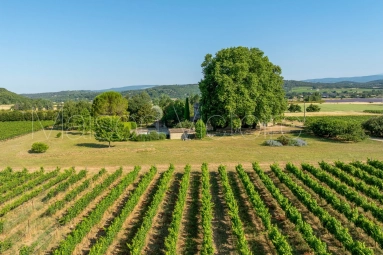 5 Bedroom(s) - 5 Bathroom(s) - 99,730m² land for sale in Vaucluse, Provence-Alpes-Côte-d\'Azur, France - FrenchPropertyPortal.com Historic Luberon mas with vineyard and panoramic views. for sale for 6,000,000€ in Vaucluse, Provence-Alpes-Côte-d\'Azur