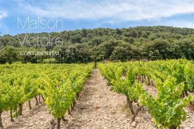 2 Bedroom(s) - 2 Bathroom(s) - 18m² land for sale in Vaucluse, Provence-Alpes-Côte-d\'Azur, France - FrenchPropertyPortal.com Organic winery with a superb cellar and charming stone farmhouse for sale for 1,790,000€ in Vaucluse, Provence-Alpes-Côte-d\'Azur
