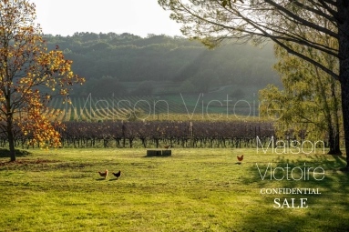 5 Bedroom(s) - 5 Bathroom(s) - 99,730m² land for sale in Vaucluse, Provence-Alpes-Côte-d\'Azur, France - FrenchPropertyPortal.com Historic Luberon mas with vineyard and panoramic views. for sale for 6,000,000€ in Vaucluse, Provence-Alpes-Côte-d\'Azur