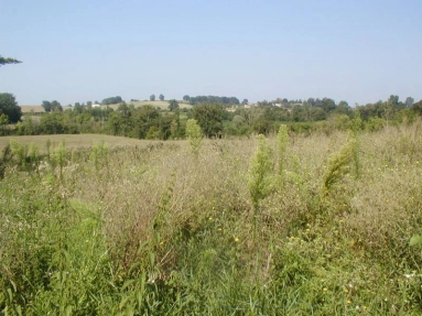 A fabulous building plot in a good location close to the popular historic village of Lauzun with its shops. for sale for 28,000€ in Lot-et-Garonne, Aquitaine