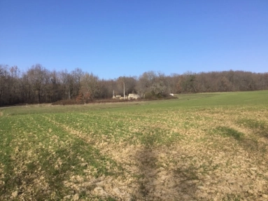 0 m² land for sale in Lot-et-Garonne, Aquitaine, France - FrenchPropertyPortal.com An old stone ruin to renovate with the square footage measuring 250m² and a well, water and electricity all on site close to a village with shops. for sale for 55,000€ in Lot-et-Garonne, Aquitaine
