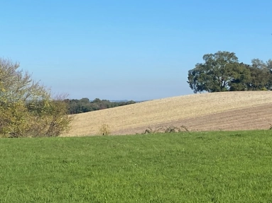 Constructable land with 3275 m² with C.U Permit close to Lauzun. for sale for 40,000&euro; in Lot-et-Garonne, Aquitaine