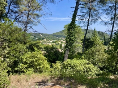Close to Lorgues center,  lovely home with 5 bedrooms and a studio. for sale for 695,000&euro; in Var, Provence-Alpes-Côte-d\'Azur