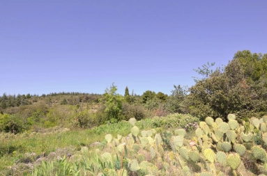 0 m² land for sale in Hérault, Languedoc-Roussillon, France - FrenchPropertyPortal.com Building land with view to the Pyrenees for sale for 79,000€ in Hérault, Languedoc-Roussillon