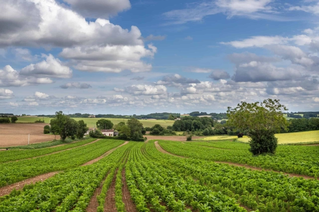 3 Bedroom(s) - 1m² land for sale in Lot-et-Garonne, Aquitaine, France - FrenchPropertyPortal.com Country property for sale for 199,000€ in Lot-et-Garonne, Aquitaine